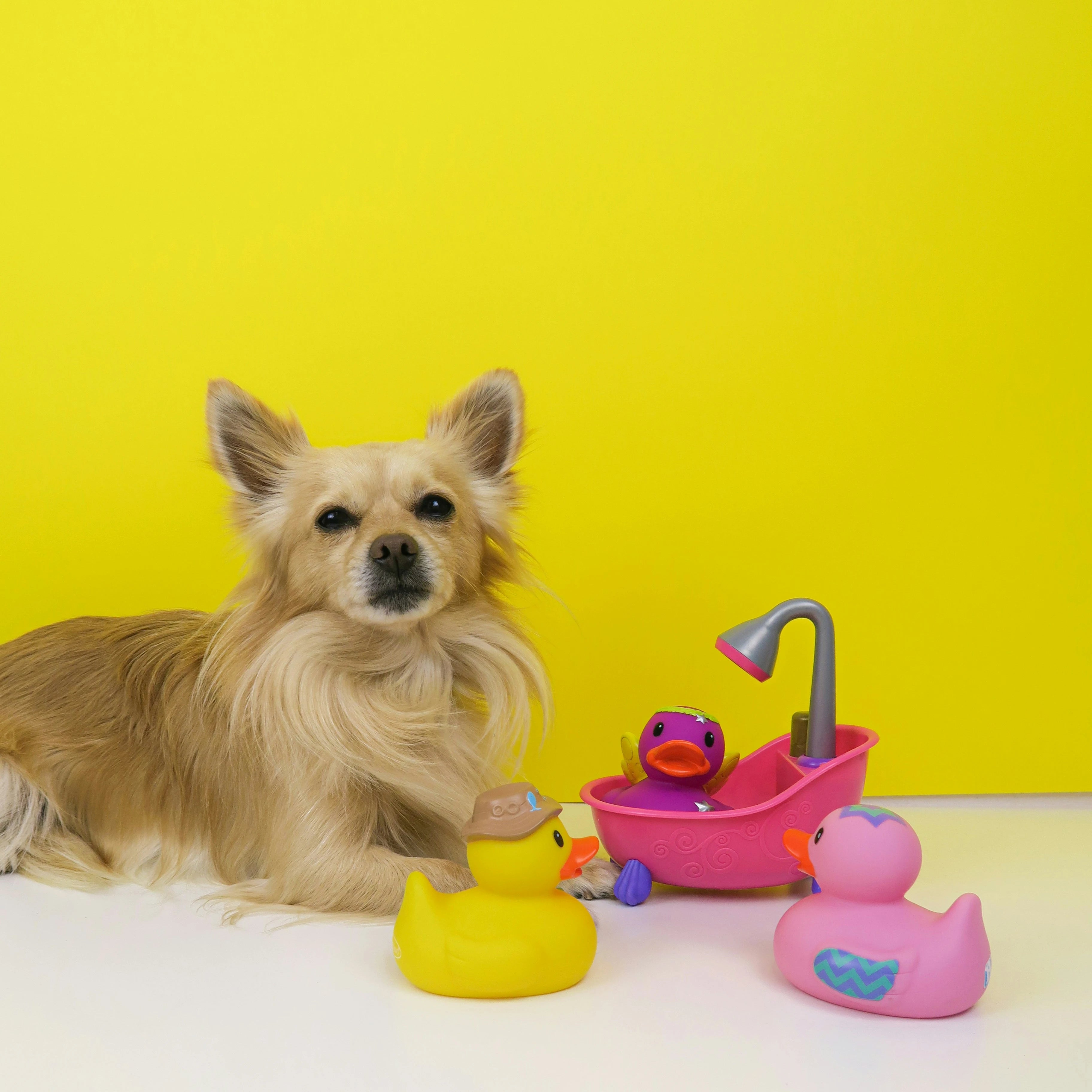 Fluffpals Store