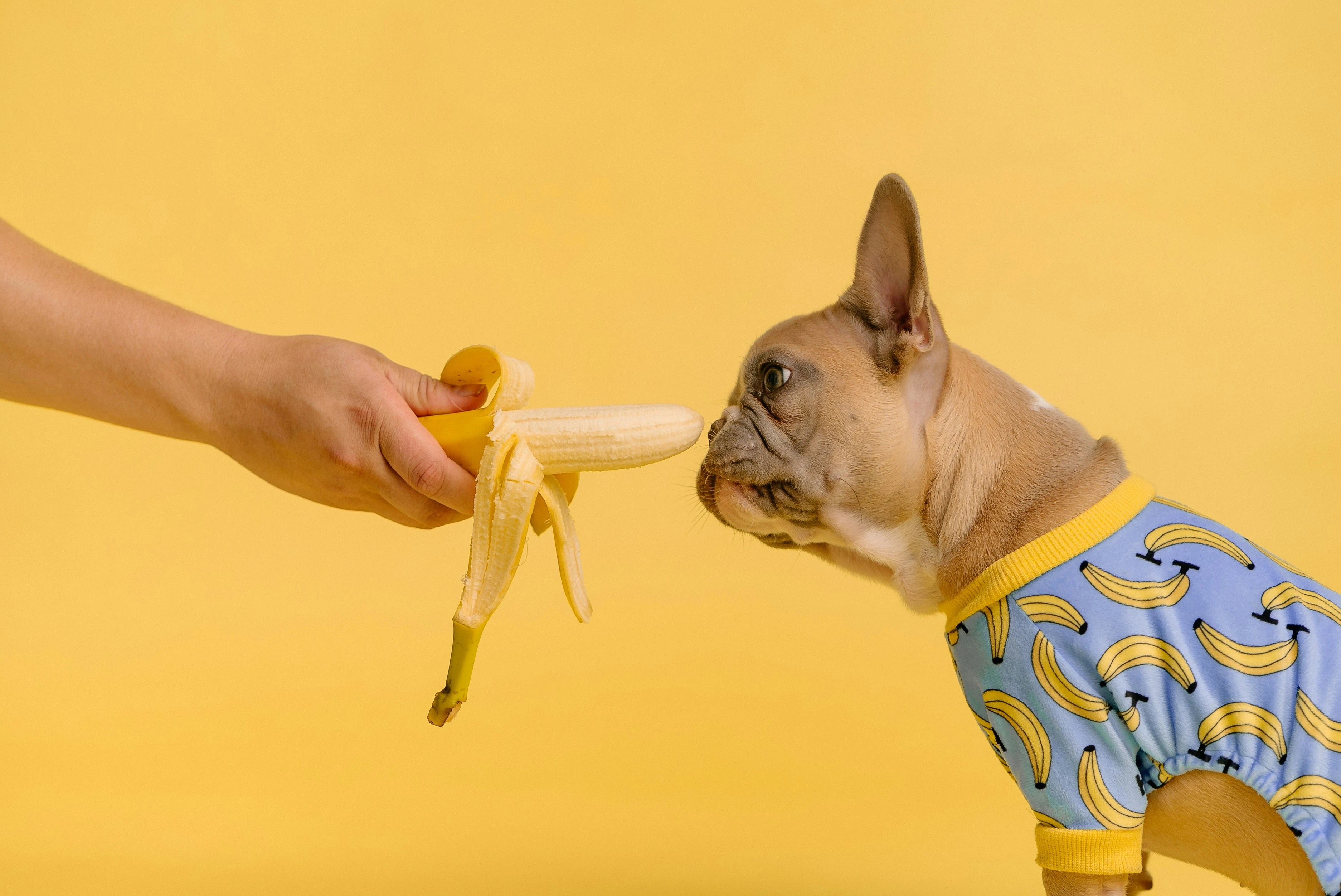 Fluffpals Store